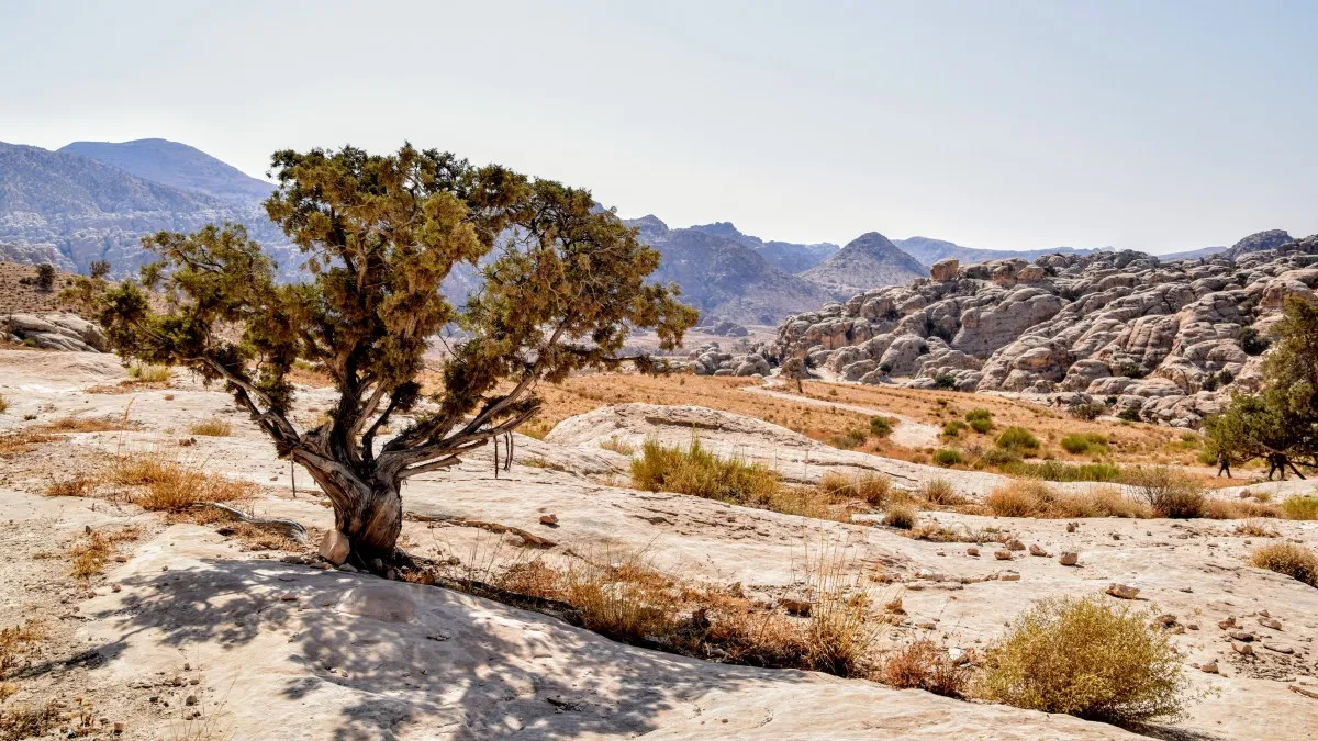 hiking and trekking adventure tours in Jordan Petra Wadi Rum Dana 